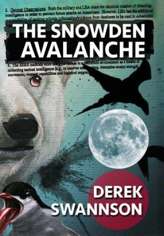 Kniha Snowden Avalanche Derek Swannson