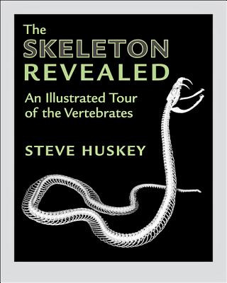 Könyv Skeleton Revealed Steve Huskey
