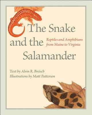 Knjiga Snake and the Salamander Alvin R. Breisch