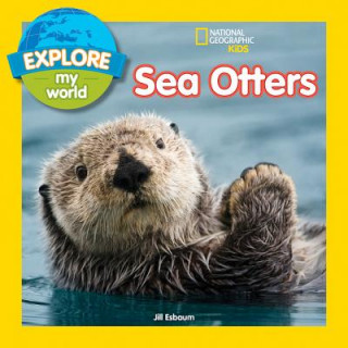 Carte Explore My World Sea Otters Jill Esbaum