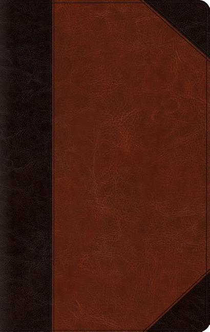 Buch ESV Large Print Thinline Bible 