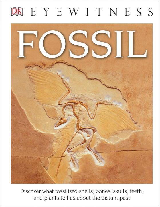 Knjiga DK Eyewitness Books: Fossil (Library Edition) DK