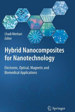 Livre Hybrid Nanocomposites for Nanotechnology Lhadi Merhari