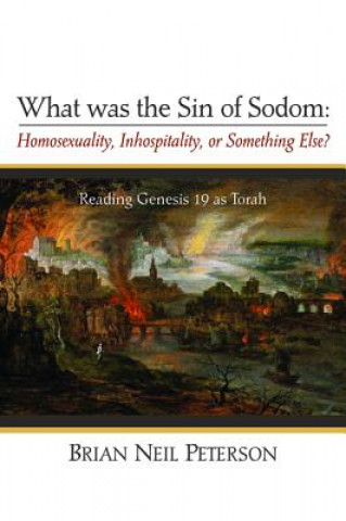 Kniha What Was the Sin of Sodom: Homosexuality, Inhospitality, or Something Else? Brian Neil Peterson