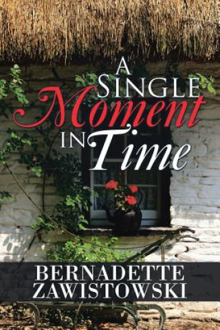Könyv Single Moment in Time Bernadette Zawistowski