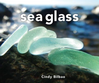 Könyv Sea Glass Cindy Bilbao