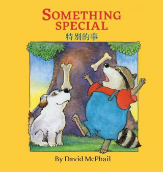 Kniha Something Special David M. McPhail