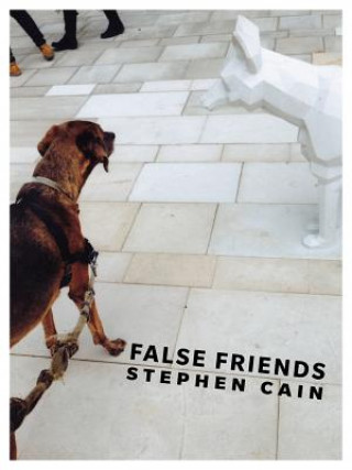 Knjiga False Friends Stephen Cain