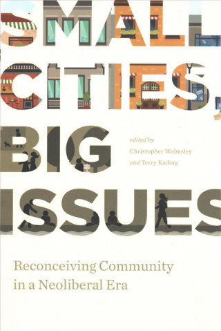 Knjiga Small Cities, Big Issues Christopher Walmsley