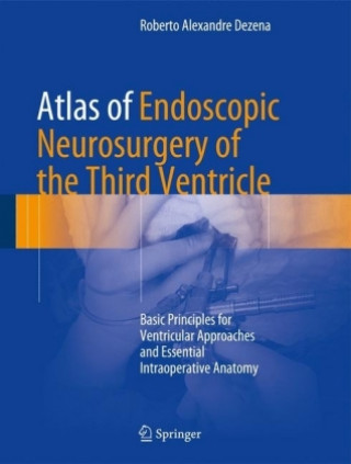 Kniha Atlas of Endoscopic Neurosurgery of the Third Ventricle Roberto Alexandre Dezena