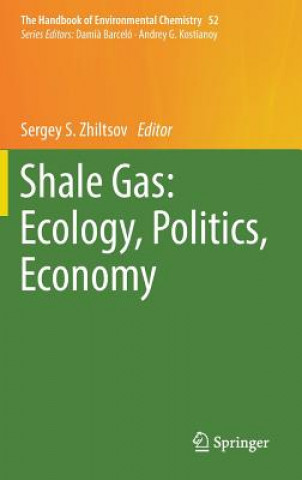 Kniha Shale Gas: Ecology, Politics, Economy Sergey S. Zhiltsov