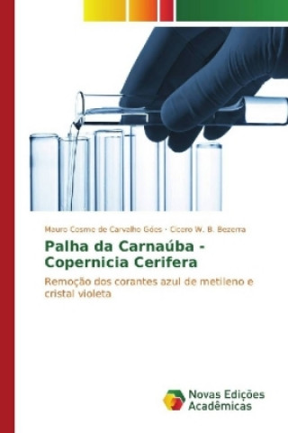 Kniha Palha da Carnaúba - Copernicia Cerifera Mauro Cosme de Carvalho Góes