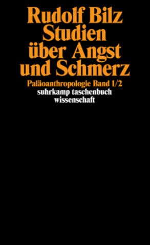 Könyv Studien über Angst und Schmerz Rudolf Bilz