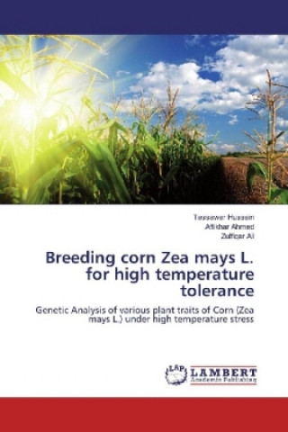 Carte Breeding corn Zea mays L. for high temperature tolerance Tassawar Hussain