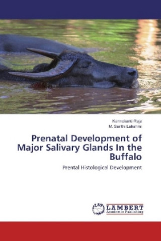 Könyv Prenatal Development of Major Salivary Glands In the Buffalo Kannekanti Raja