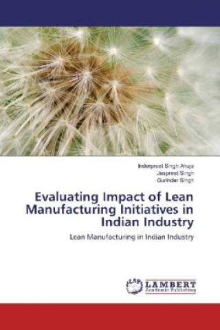 Könyv Evaluating Impact of Lean Manufacturing Initiatives in Indian Industry Inderpreet Singh Ahuja