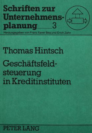Könyv Geschaeftsfeldsteuerung in Kreditinstituten Thomas Hintsch