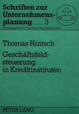 Buch Geschaeftsfeldsteuerung in Kreditinstituten Thomas Hintsch