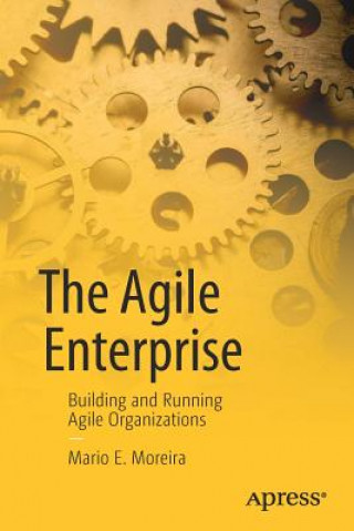 Könyv Agile Enterprise Mario E. Moreira