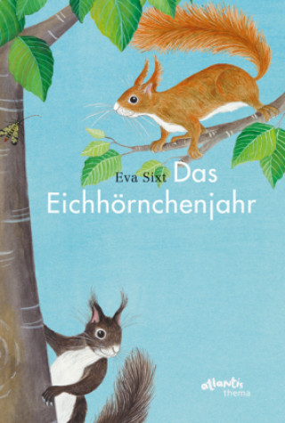 Buch Das Eichhörnchenjahr Eva Sixt