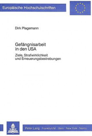 Kniha Gefaengnisarbeit in den USA Dirk Plagemann