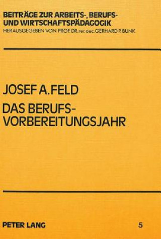 Könyv Das Berufsvorbereitungsjahr Josef Feld