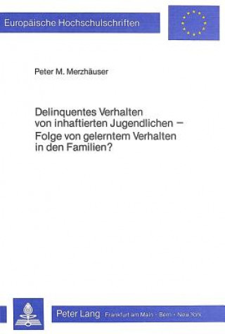 Könyv Delinquentes Verhalten von inhaftierten Jugendlichen Peter M. Merzhäuser