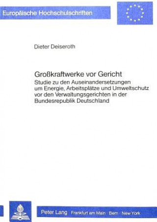 Könyv Grosskraftwerke vor Gericht Dieter Deiseroth