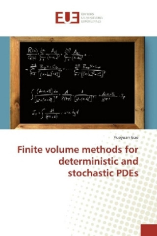 Книга Finite volume methods for deterministic and stochastic PDEs Yueyuan Gao