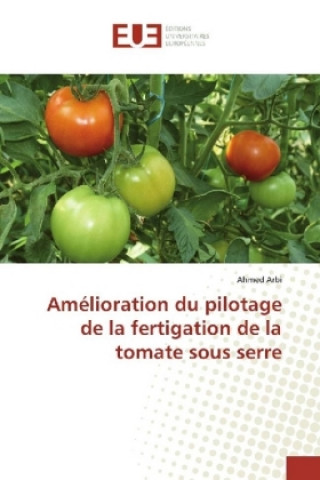 Carte Amélioration du pilotage de la fertigation de la tomate sous serre Ahmed Arbi