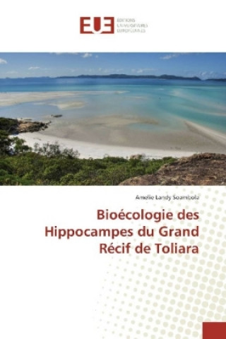 Kniha Bioécologie des Hippocampes du Grand Récif de Toliara Amelie Landy Soambola