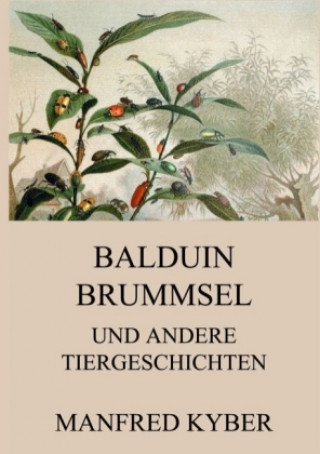 Kniha Balduin Brummsel und andere Tiergeschichten Manfred Kyber