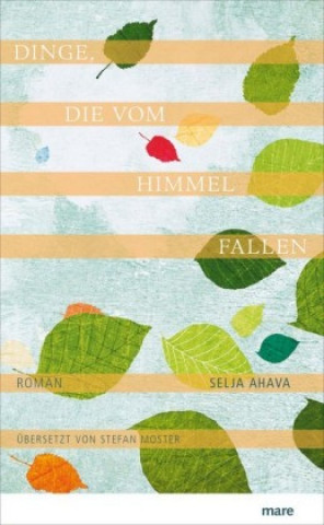 Buch Dinge, die vom Himmel fallen Selja Ahava