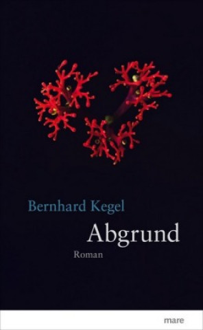 Livro Abgrund Bernhard Kegel