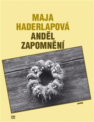 Kniha Anděl zapomnění Maja Haderlapová