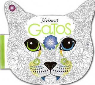 Könyv Divinos gatos SARA MUZIO