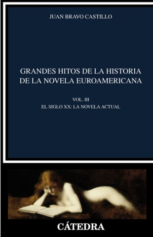 Könyv Grandes hitos de la historia de la novela euroamericana JUAN BRAVO CASTILLO