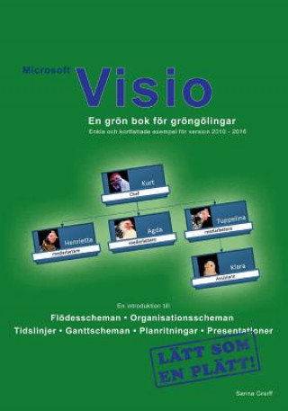 Könyv Microsoft Visio - En groen bok foer groengoelingar Sanna Greiff