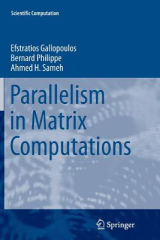 Książka Parallelism in Matrix Computations Efstratios Gallopoulos