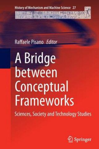 Könyv Bridge between Conceptual Frameworks Raffaele Pisano