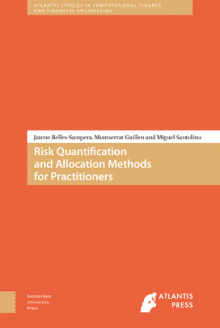 Книга Risk Quantification and Allocation Methods for Practitioners Miguel Santolino