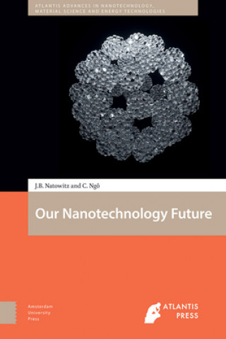 Boek Our Nanotechnology Future Christian Ngo