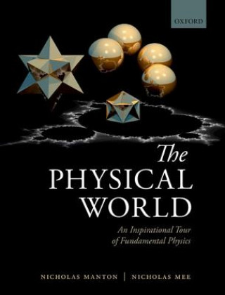 Kniha Physical World Nicholas Manton