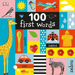 Carte 100 First Words DK