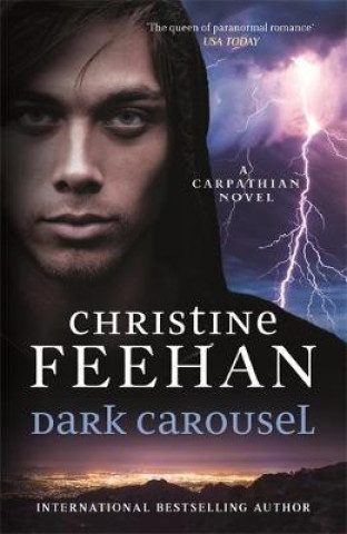 Book Dark Carousel Christine Feehan