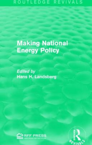 Kniha Making National Energy Policy 