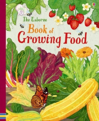 Könyv Usborne book of Growing Food Abigail Wheatley