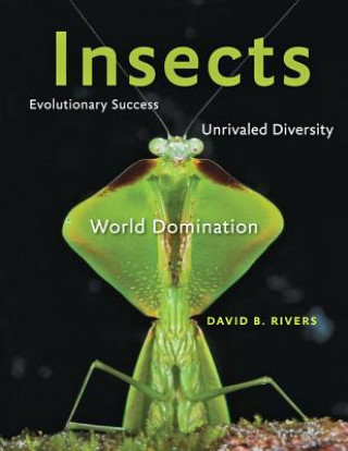 Knjiga Insects David B. Rivers