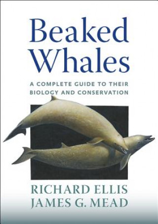 Kniha Beaked Whales Richard Ellis