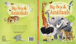 Книга Big Book of Animals Hazel Maskell